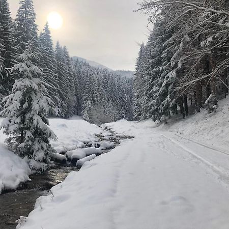 Hot Tub Chalet Retreat Βίλα Μπρασόβ Εξωτερικό φωτογραφία