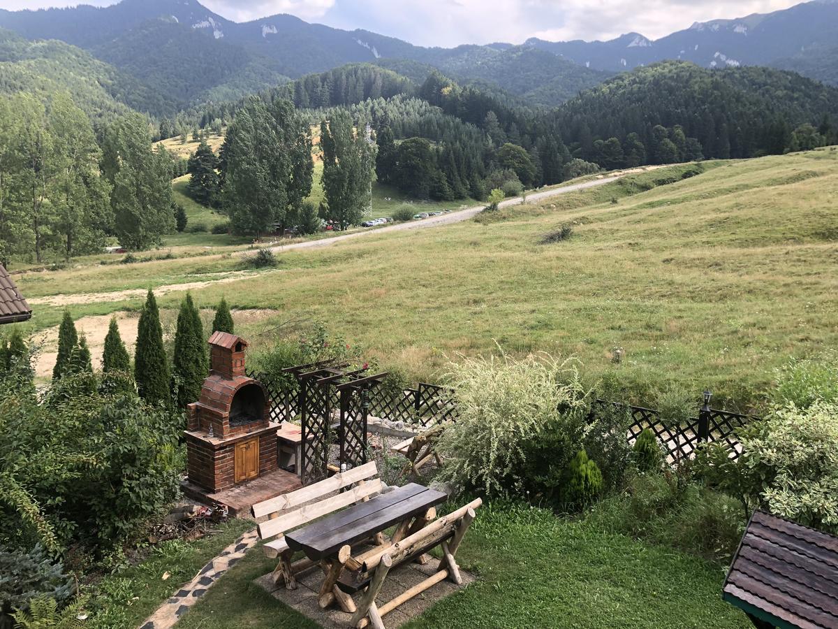 Hot Tub Chalet Retreat Βίλα Μπρασόβ Εξωτερικό φωτογραφία