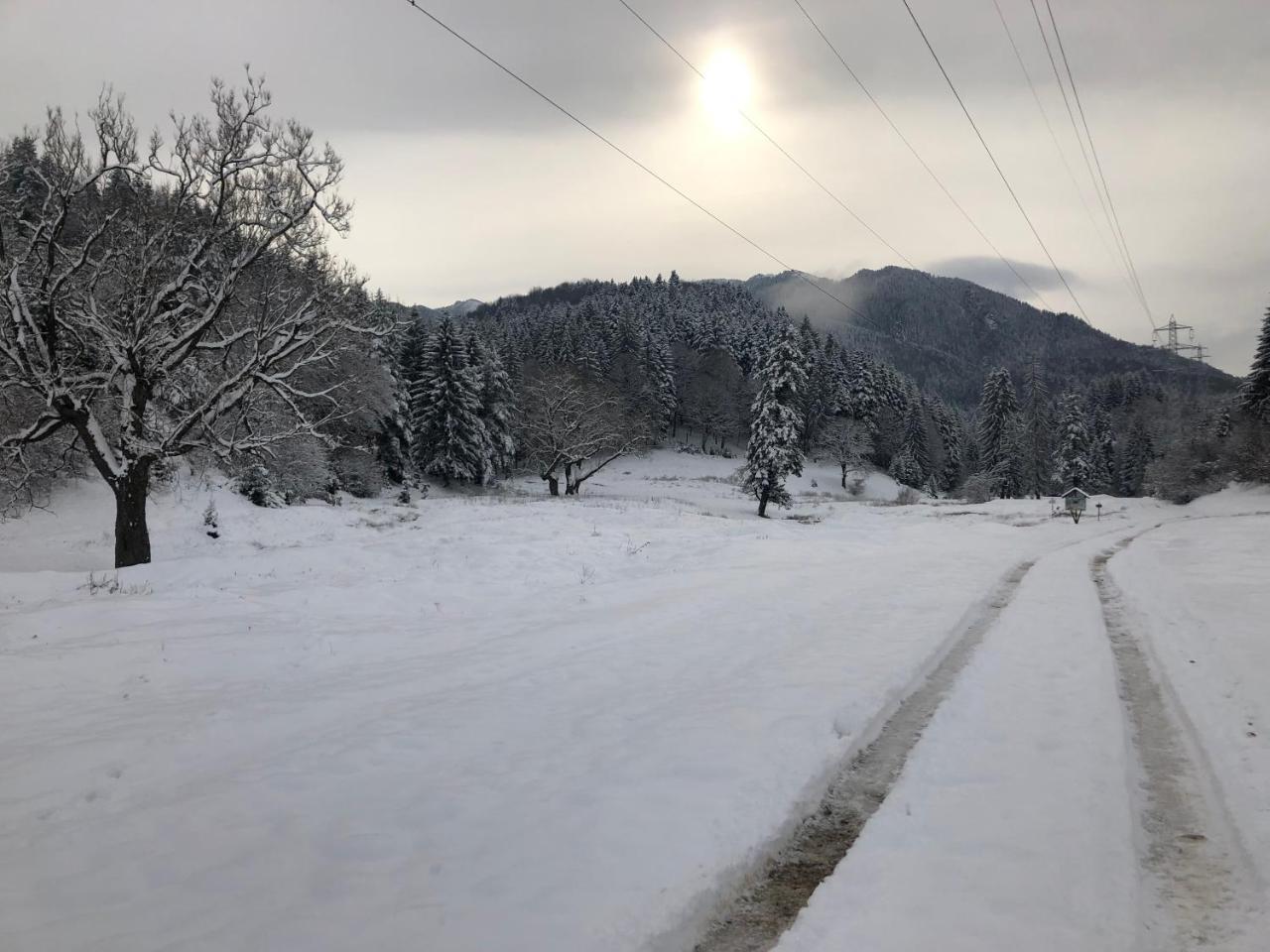 Hot Tub Chalet Retreat Βίλα Μπρασόβ Εξωτερικό φωτογραφία